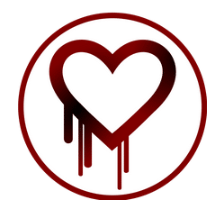 Heartbleed should have changed your whole online security policy