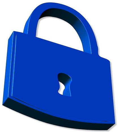 online security goals blue lock